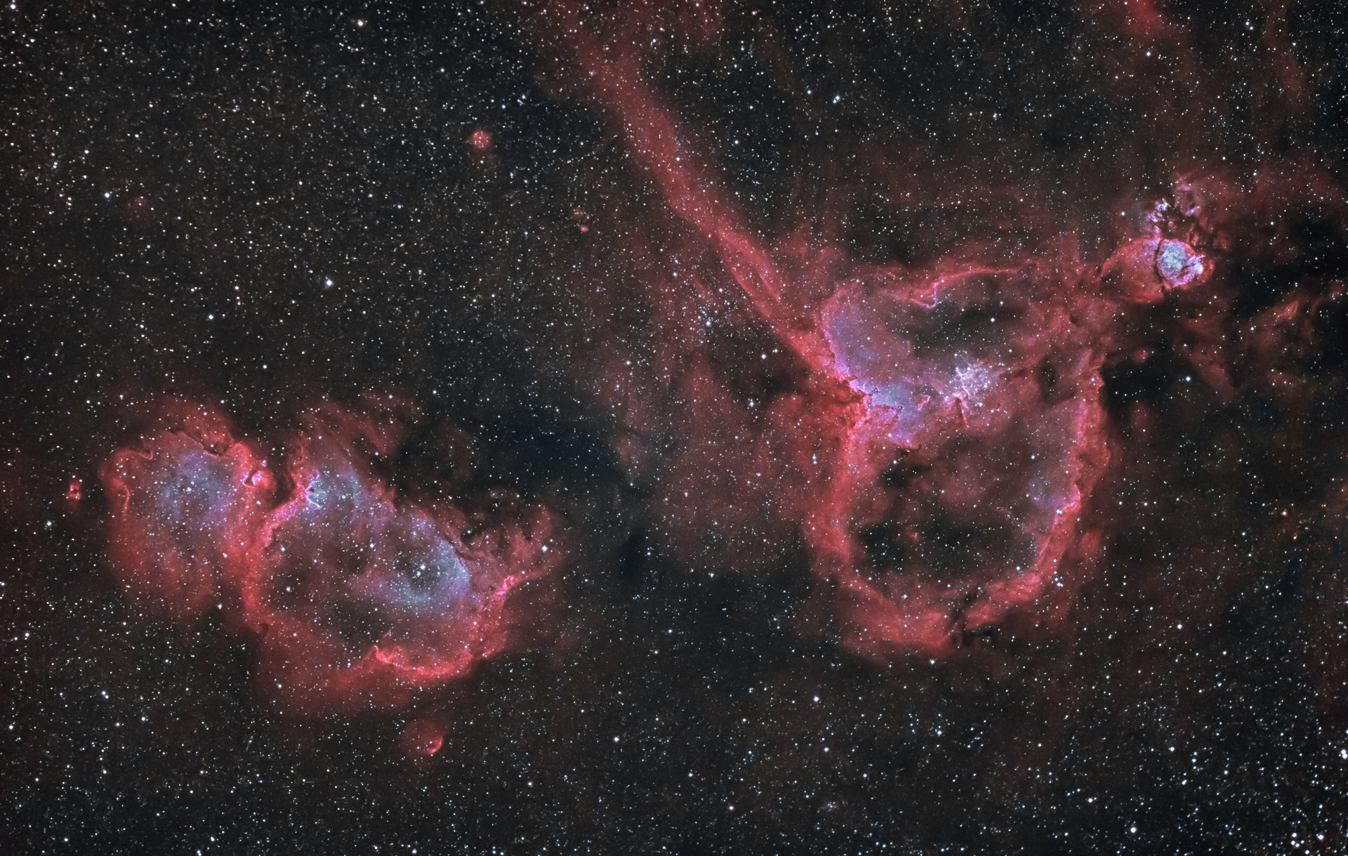 ic1848+ic1805(2).jpg