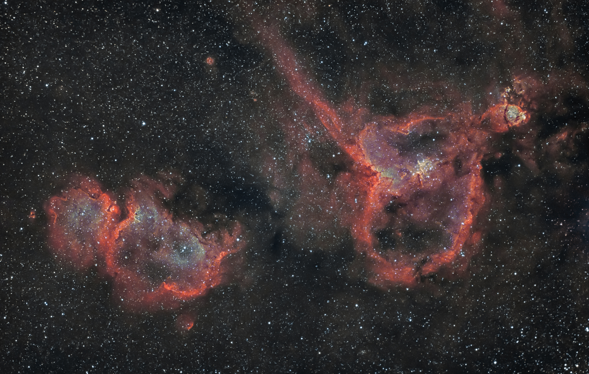 ic1848+ic1805(3).jpg