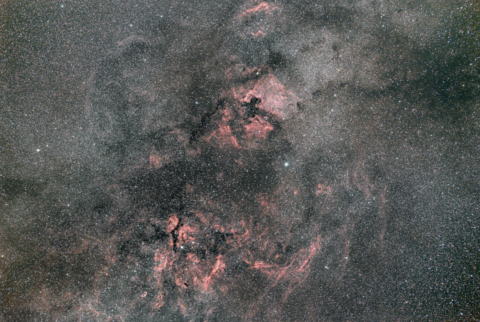 gamma cygni_region.jpg