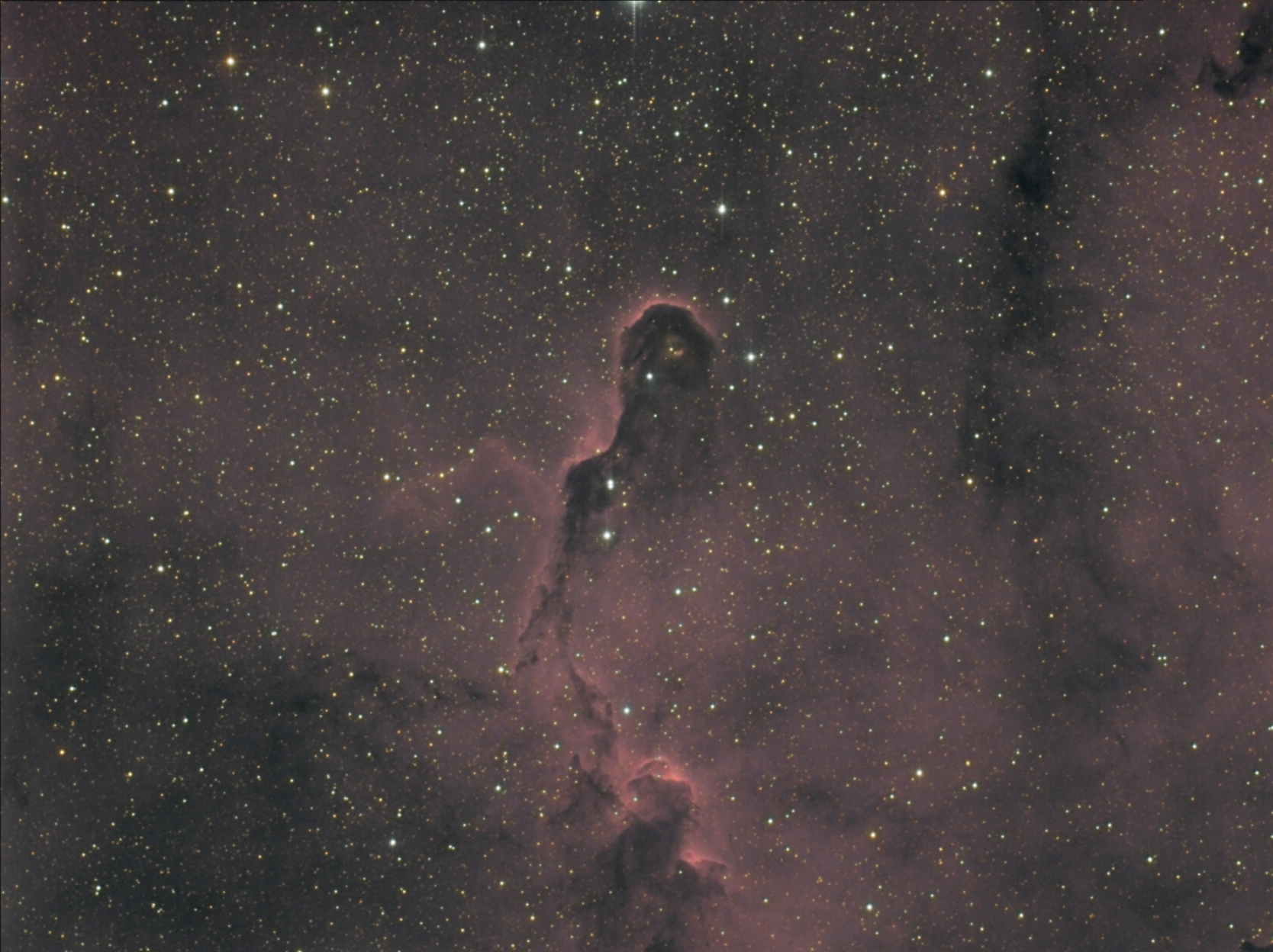 IC1396.jpg