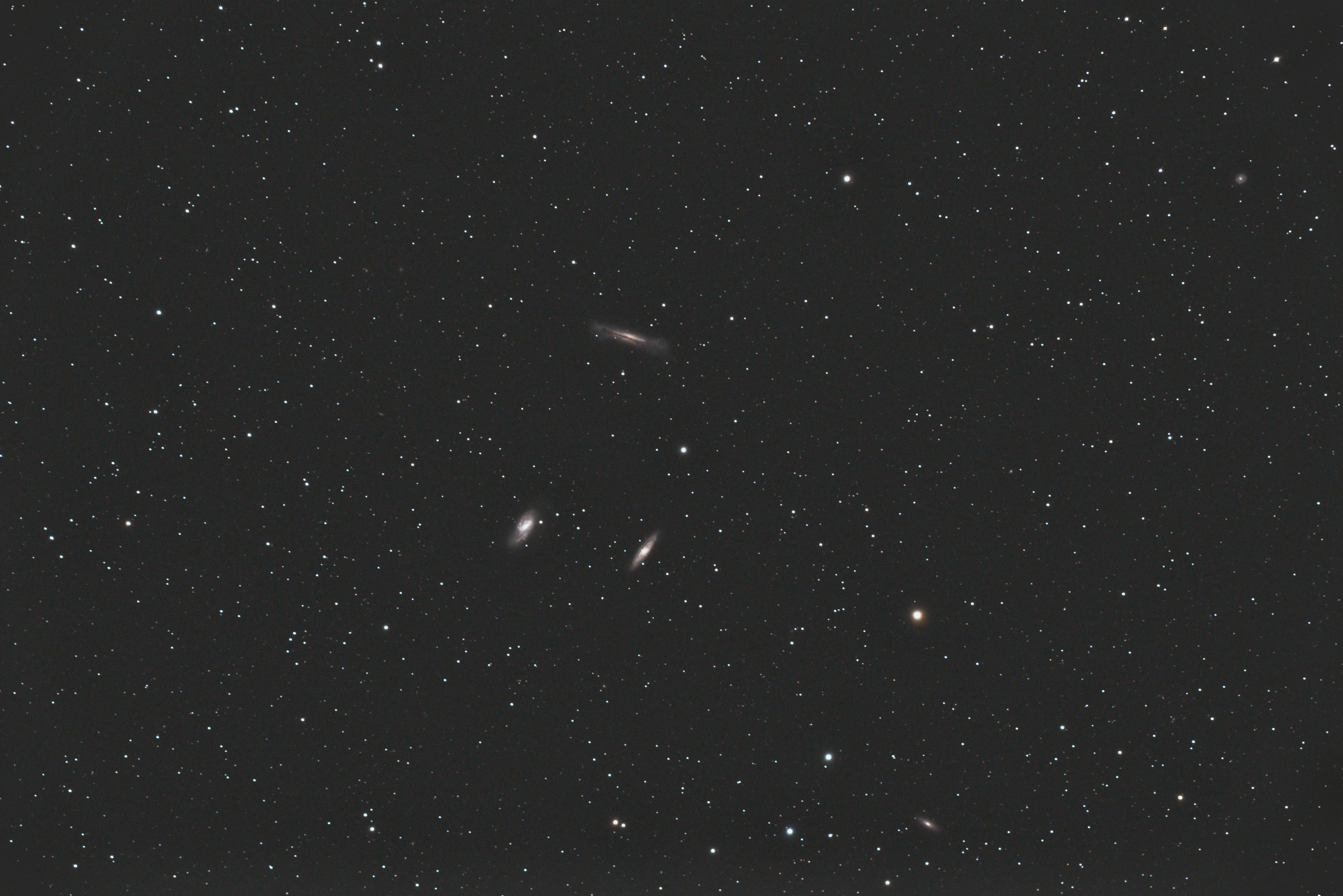 leo triplet-small.jpg