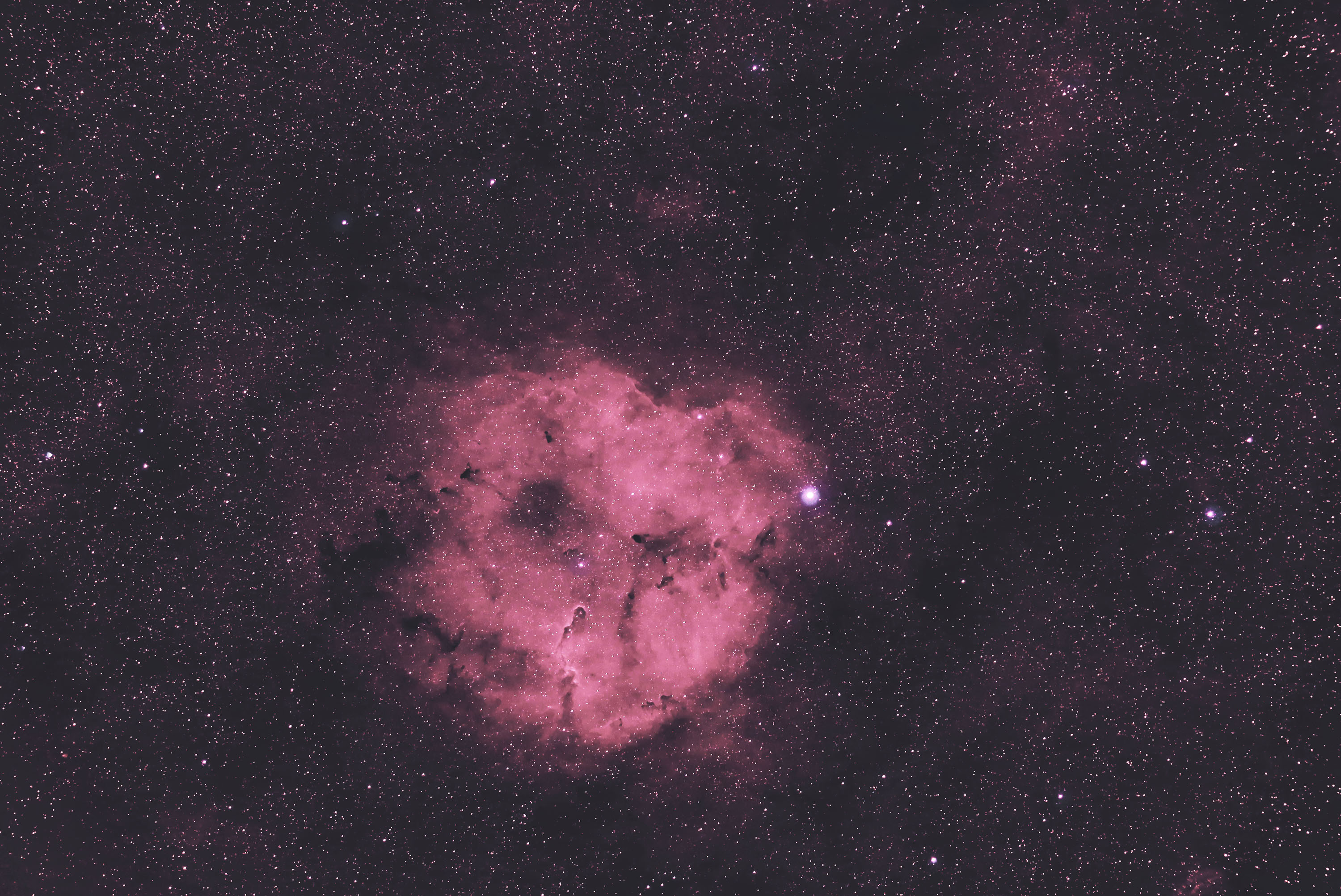 ic1396_1.jpg