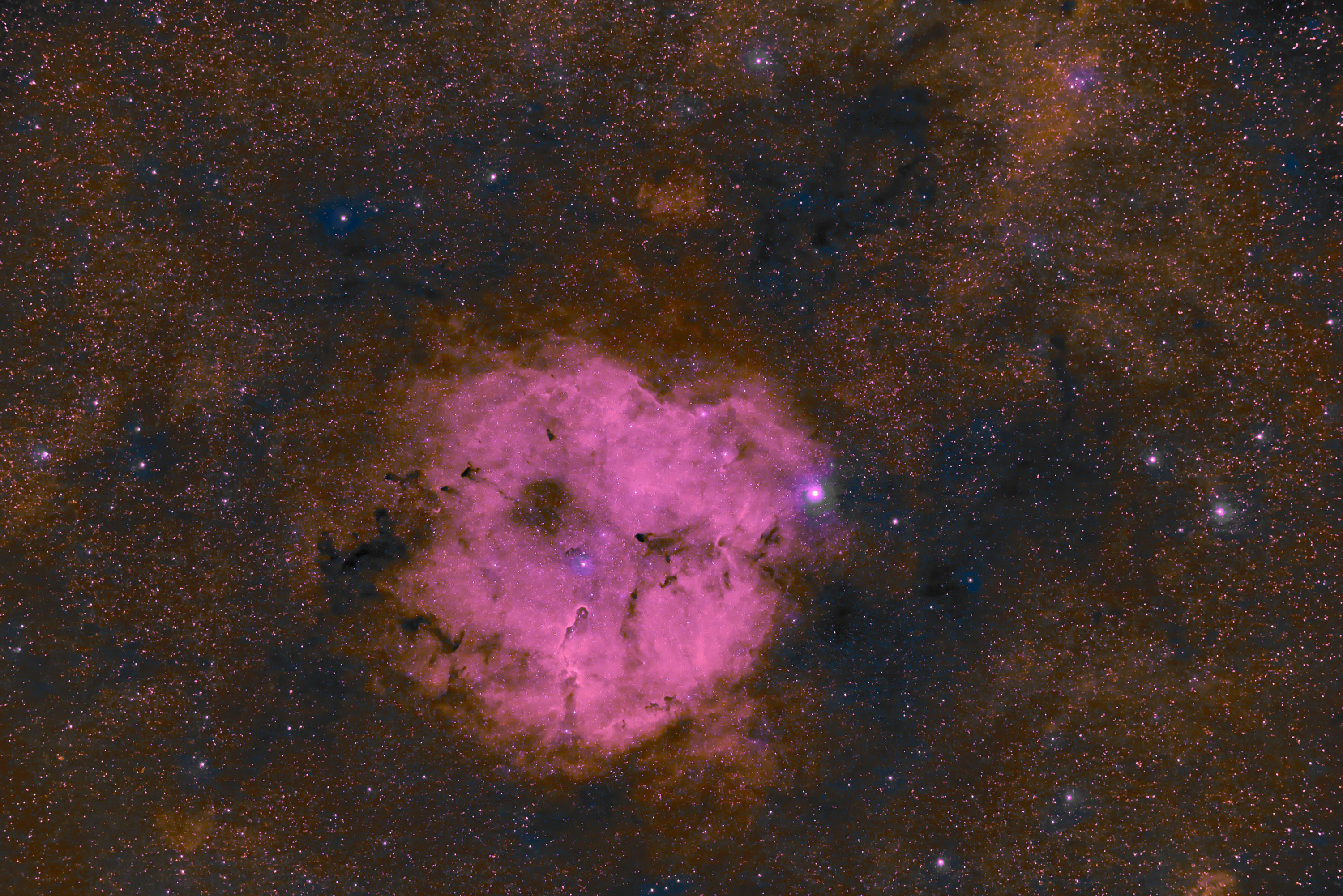 ic1396.jpg