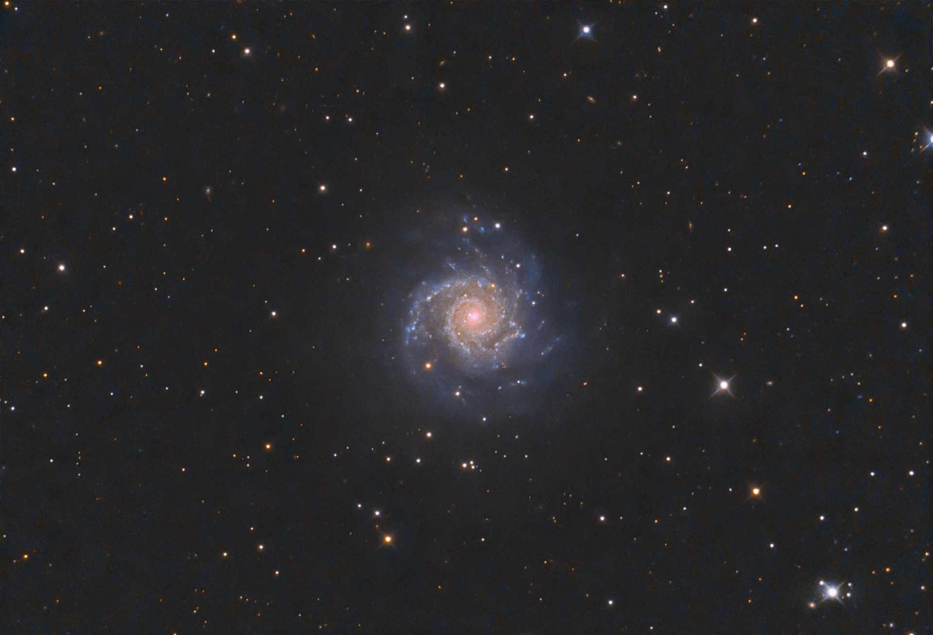 m74.jpg