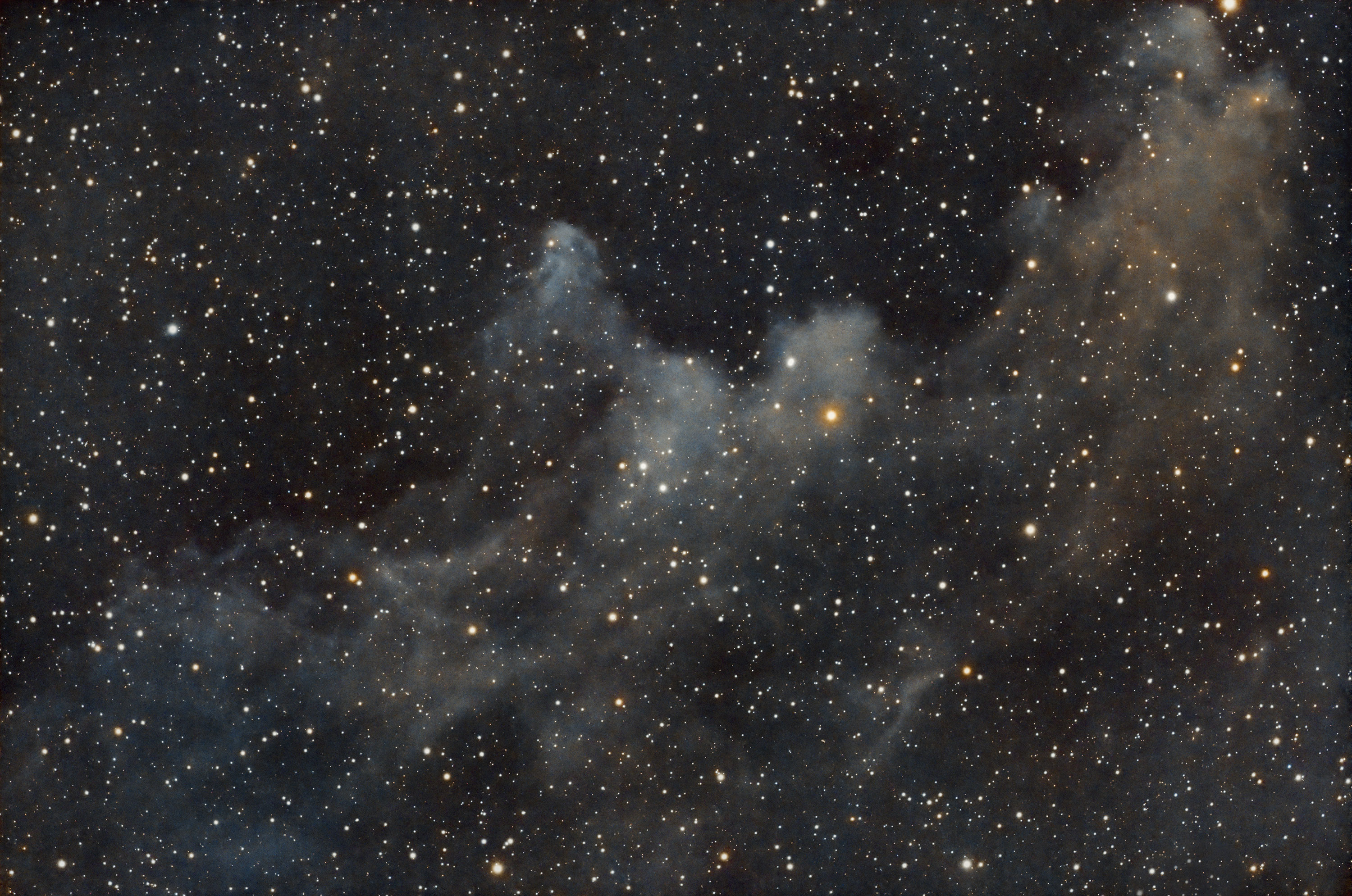 IC2118_01.jpg