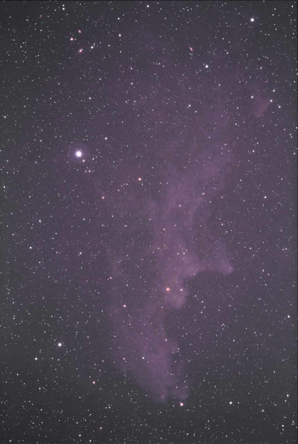 IC2118_1s.jpg