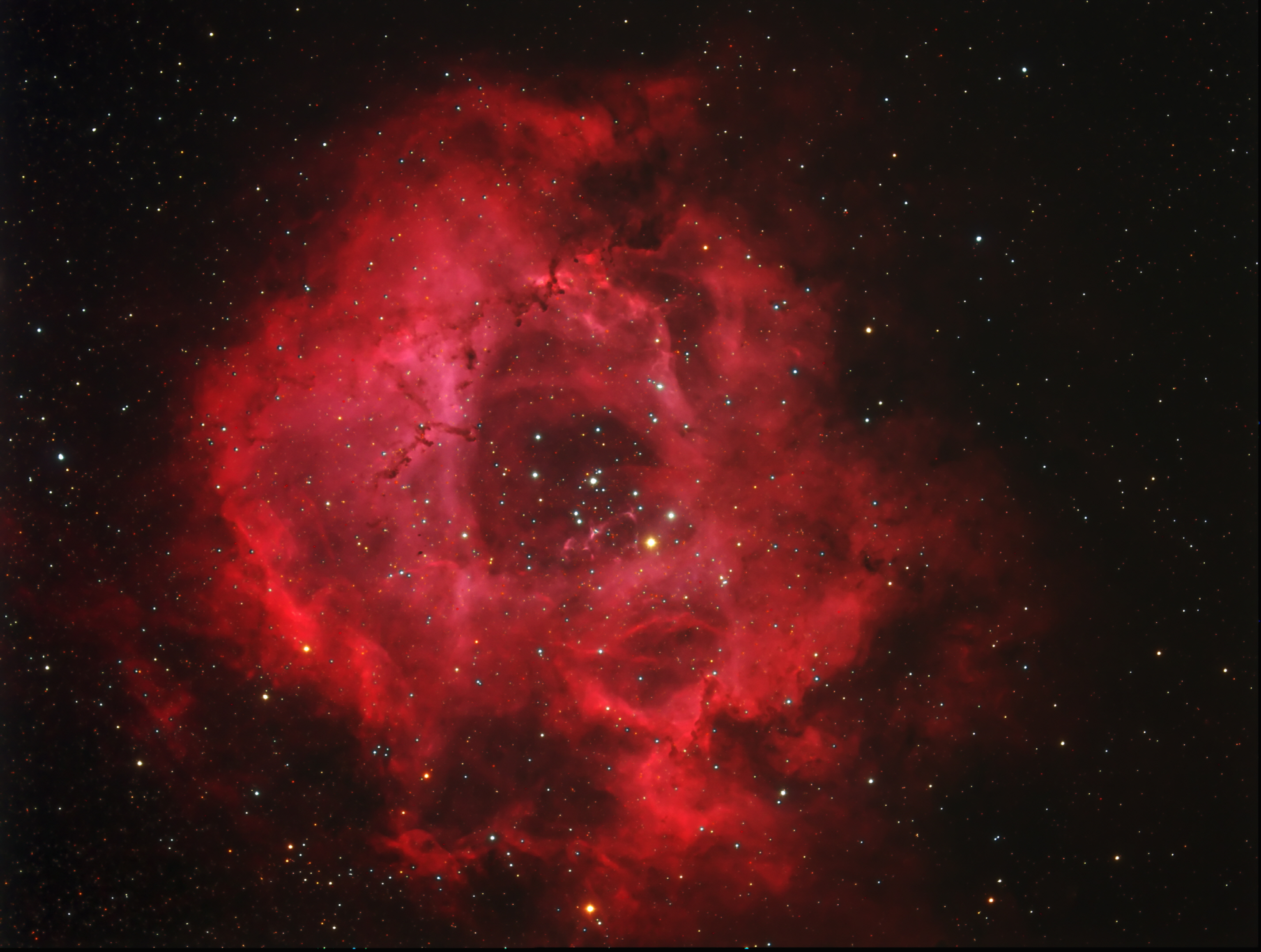 NGC2237-120129.jpg