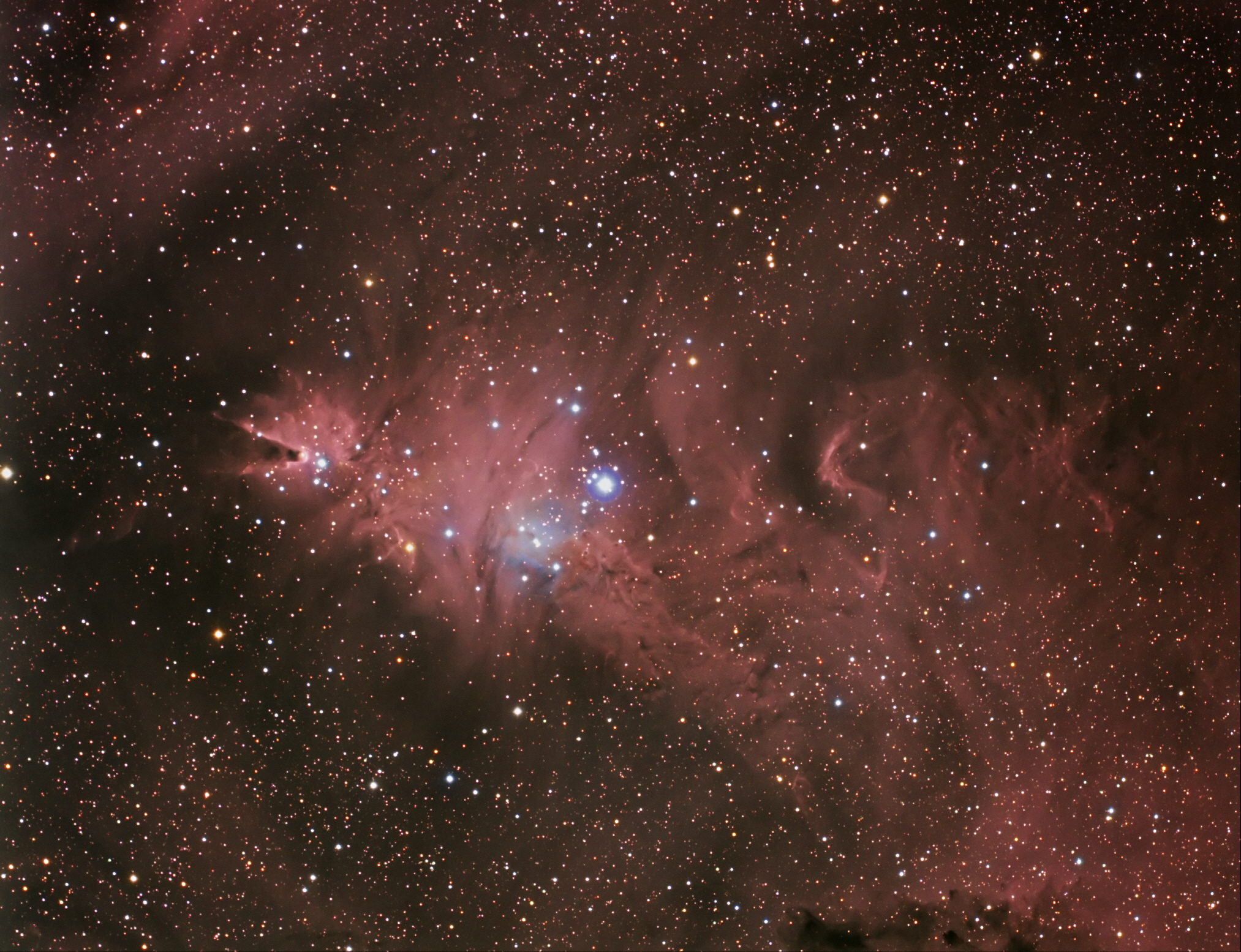 NGC2264-120129.jpg