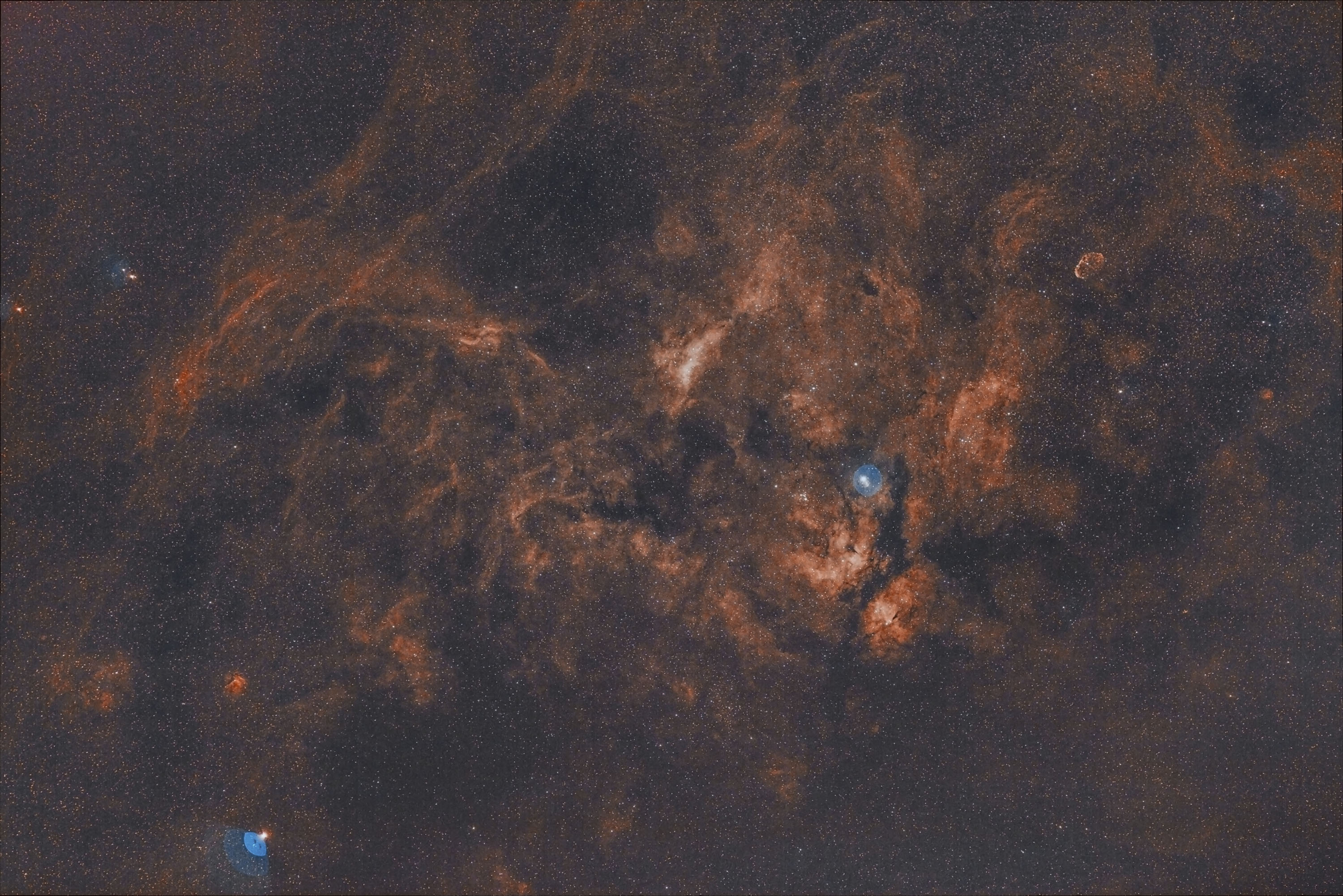 ic1318F_1.jpg