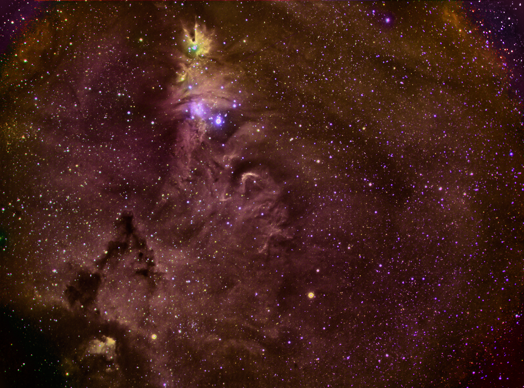20191228-NGC2264-LRGB-Croped.jpg