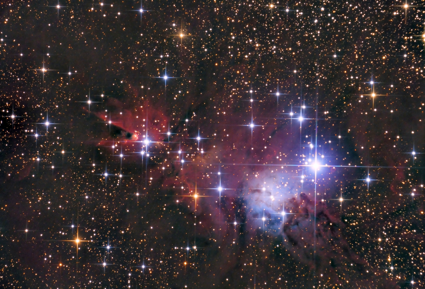 ngc2264_christmas_tree.jpg