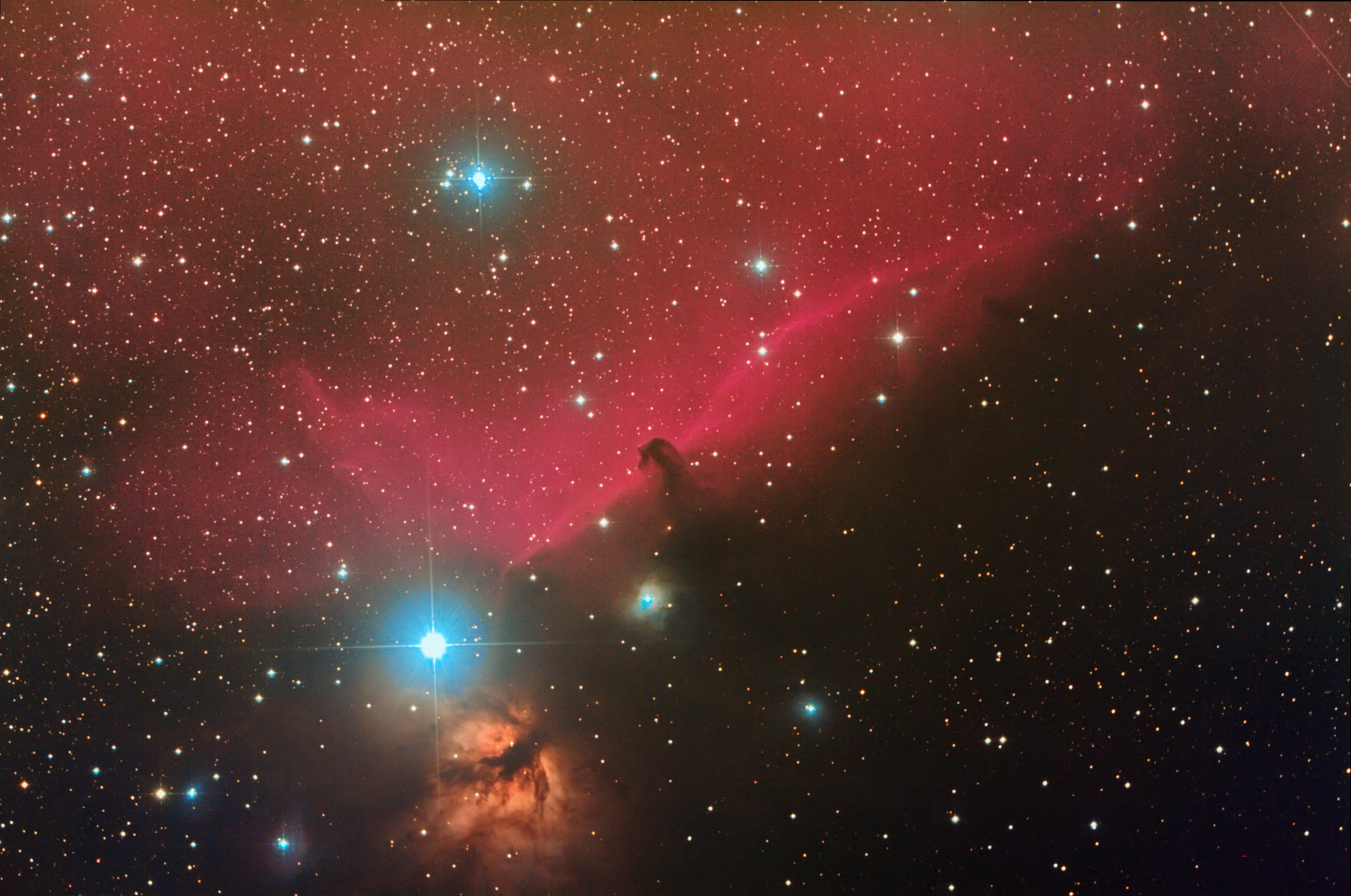 horsehead-ddp2-selective2-noise-crop2-1800.jpg