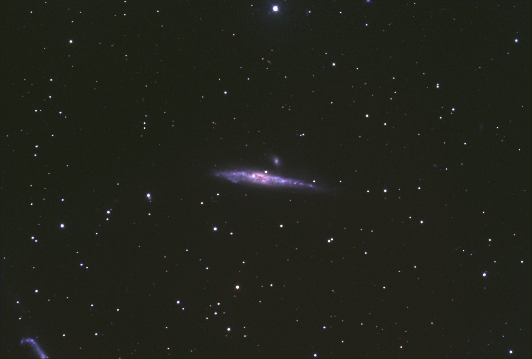 NGC4631-LRGB1.jpg