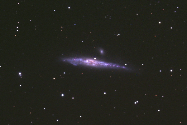 NGC4631-LRGB1_Crop.JPG