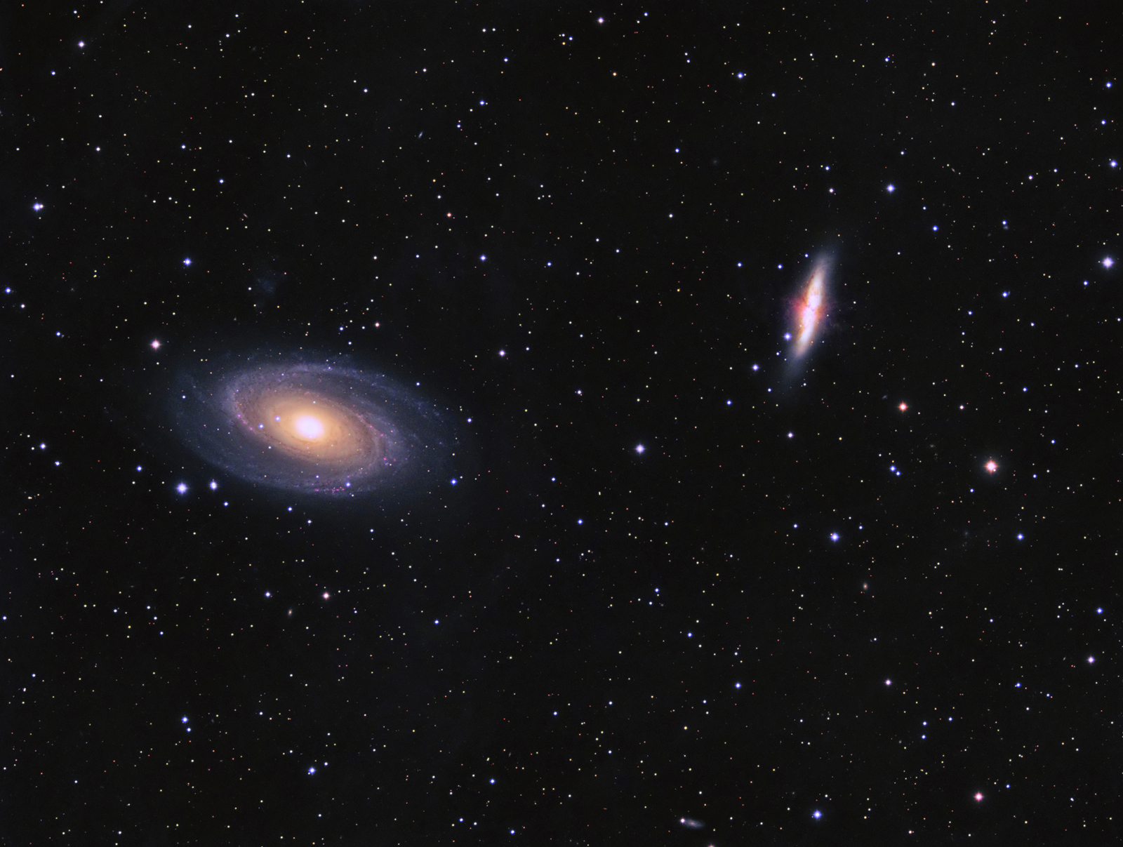 m81_82_F_web.jpg