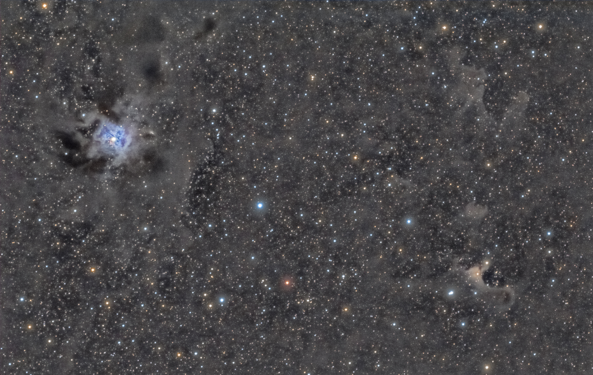 ngc7023+vdb141.jpg