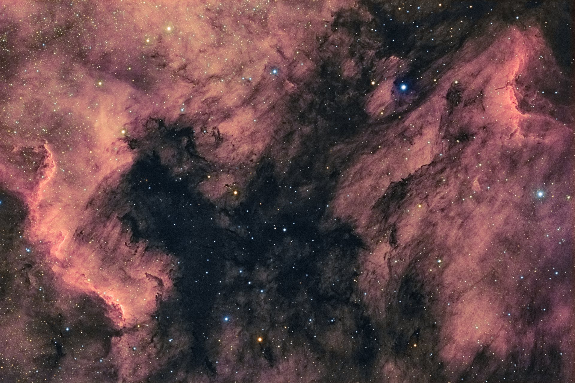 ngc7000+ic5070.jpg