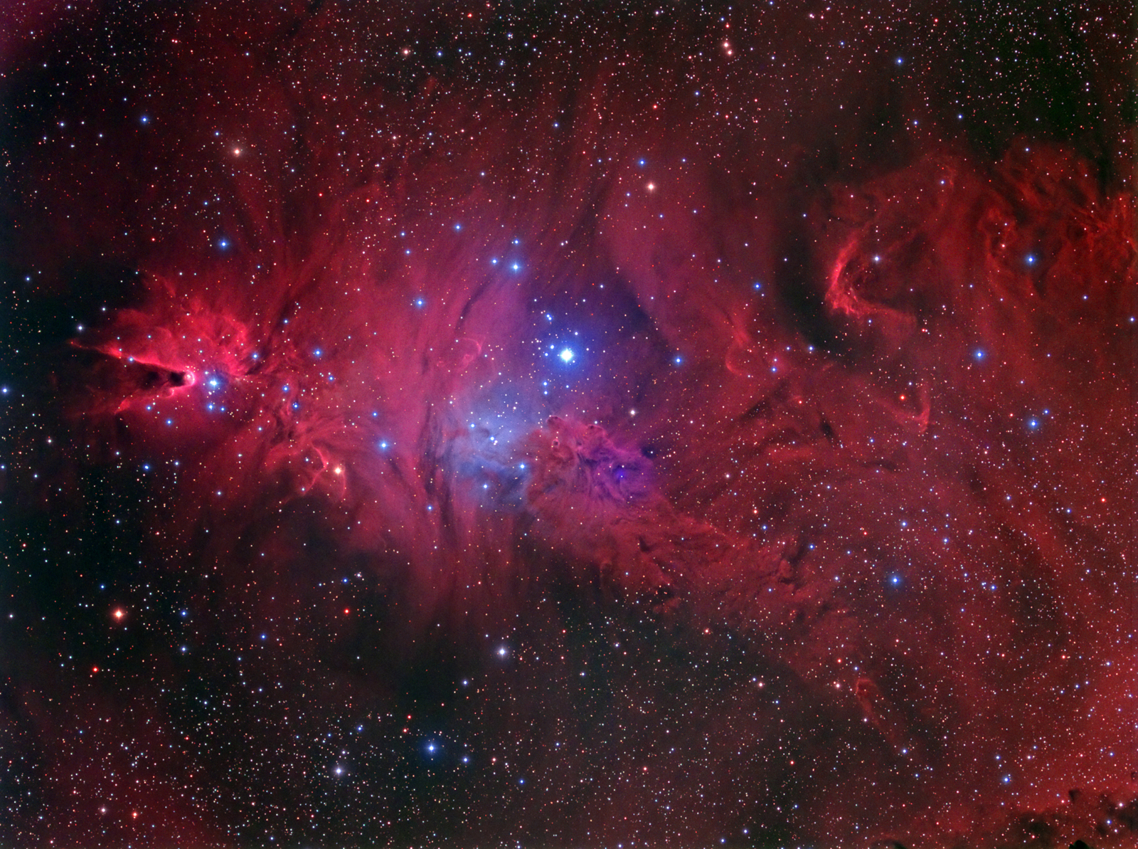 ngc2264-web.jpg