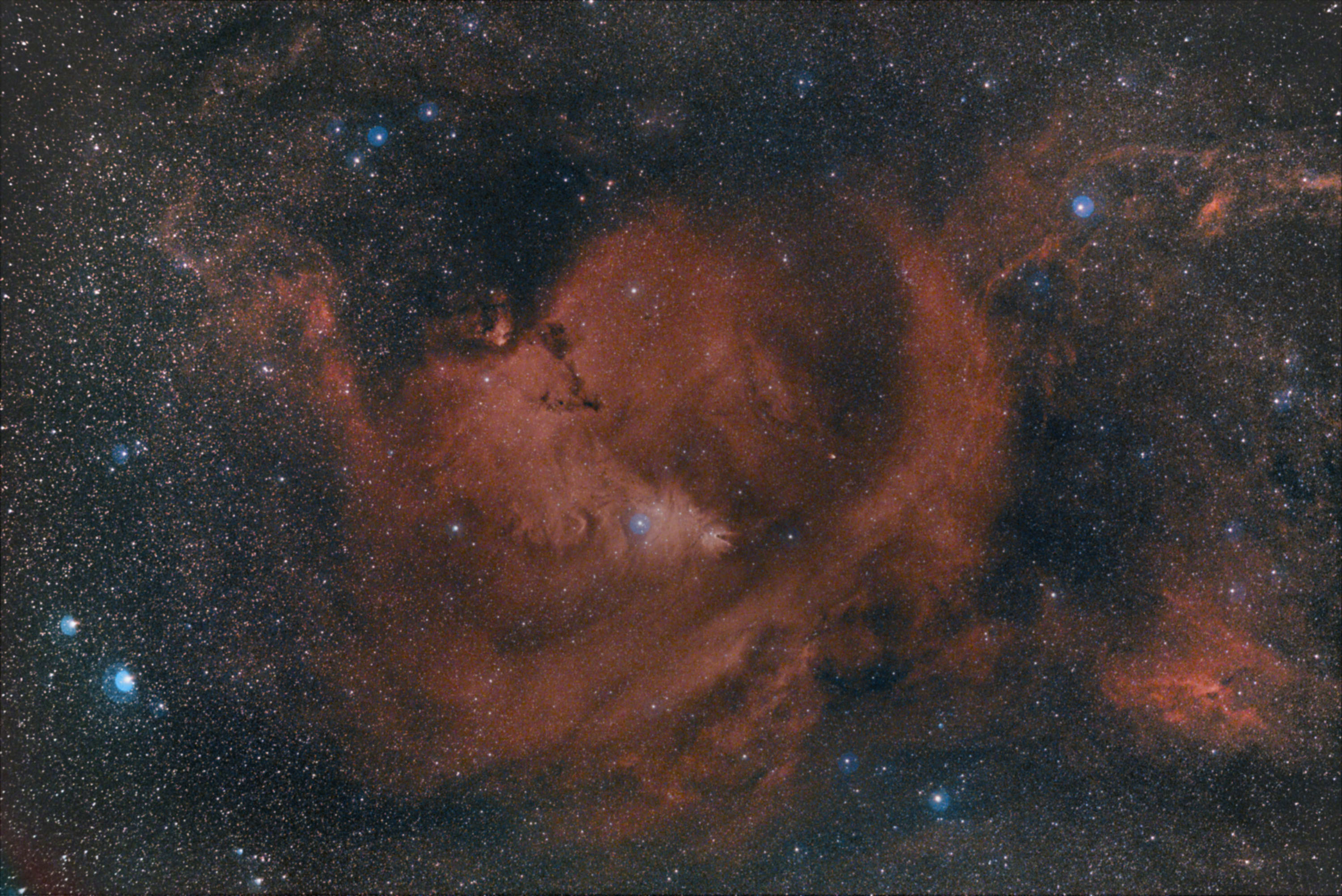 NGC2264.jpg