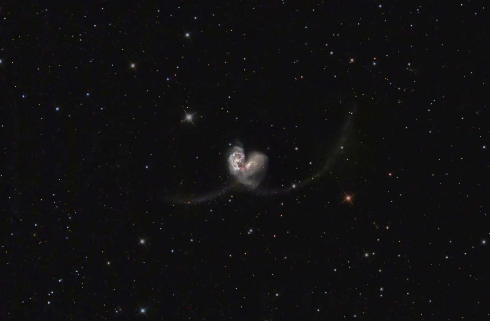 NGC4038 copy.jpg