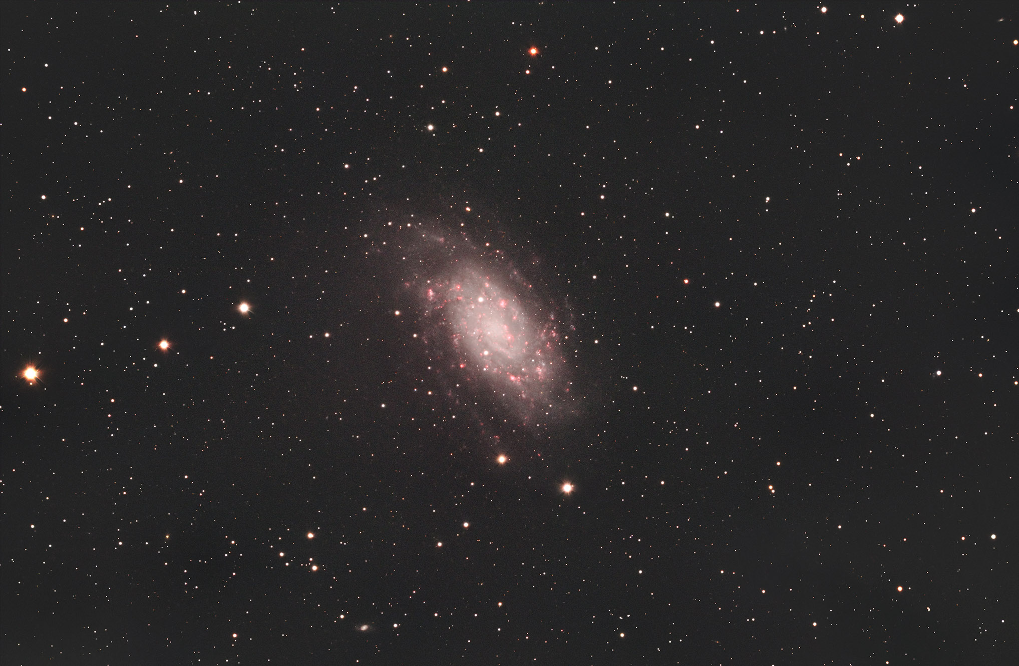 NGC2403LRGBha_RC8 copy.jpg