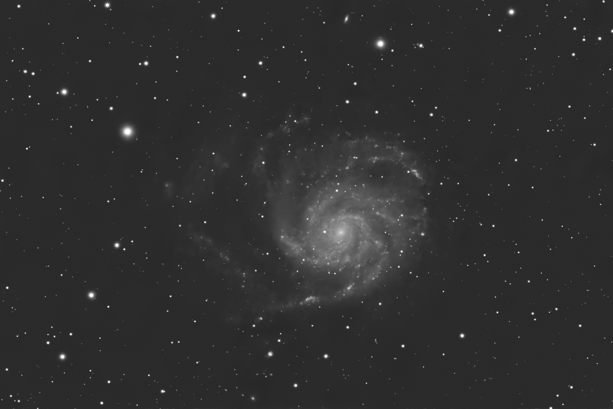 m101.jpg