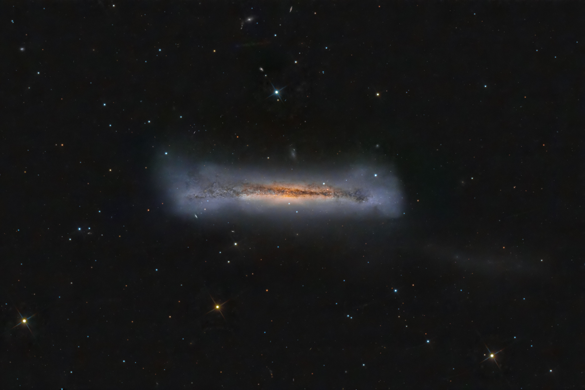 ngc3628.jpg