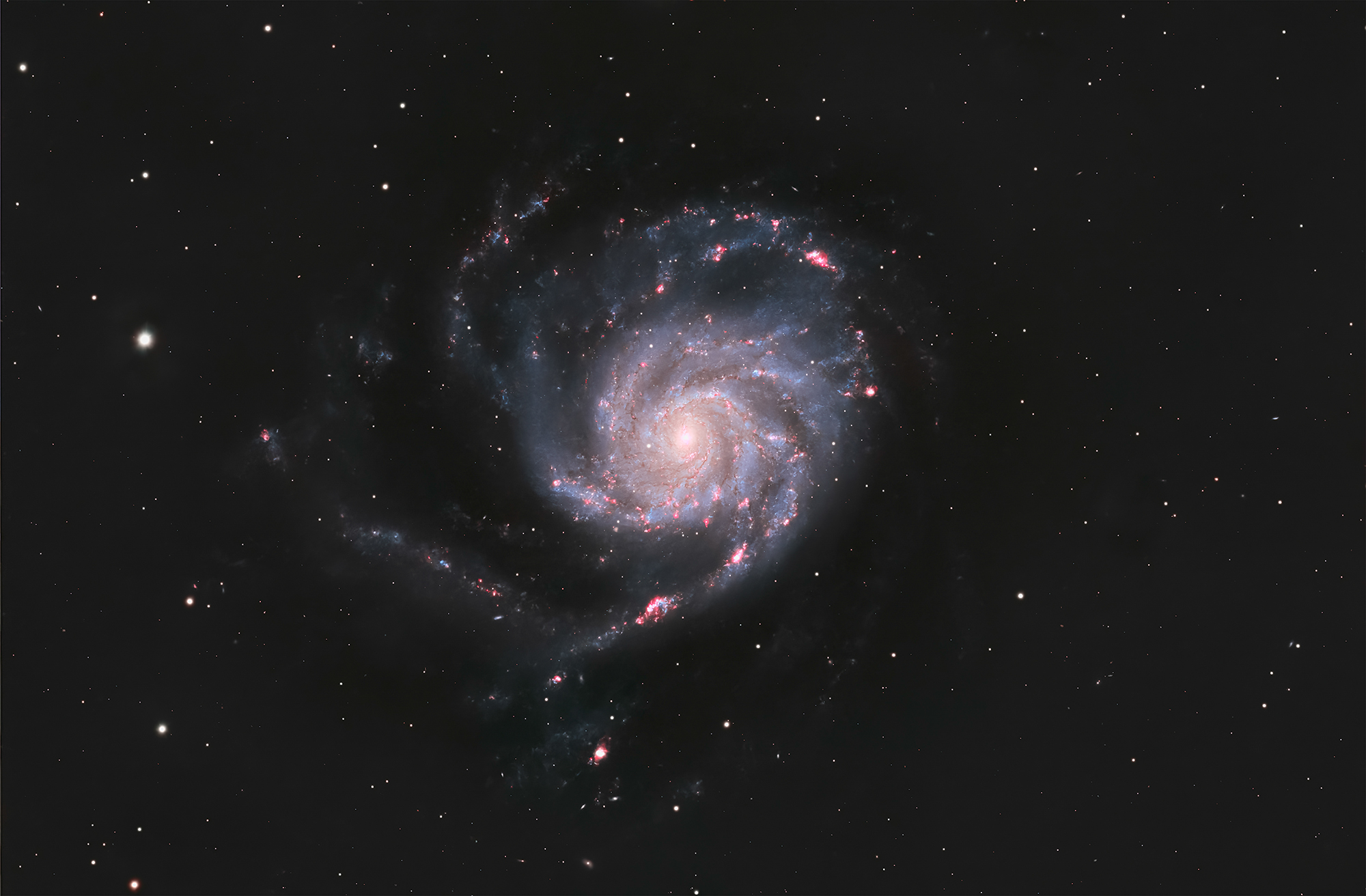 M 101 20260320 (새비재) (2000).jpg