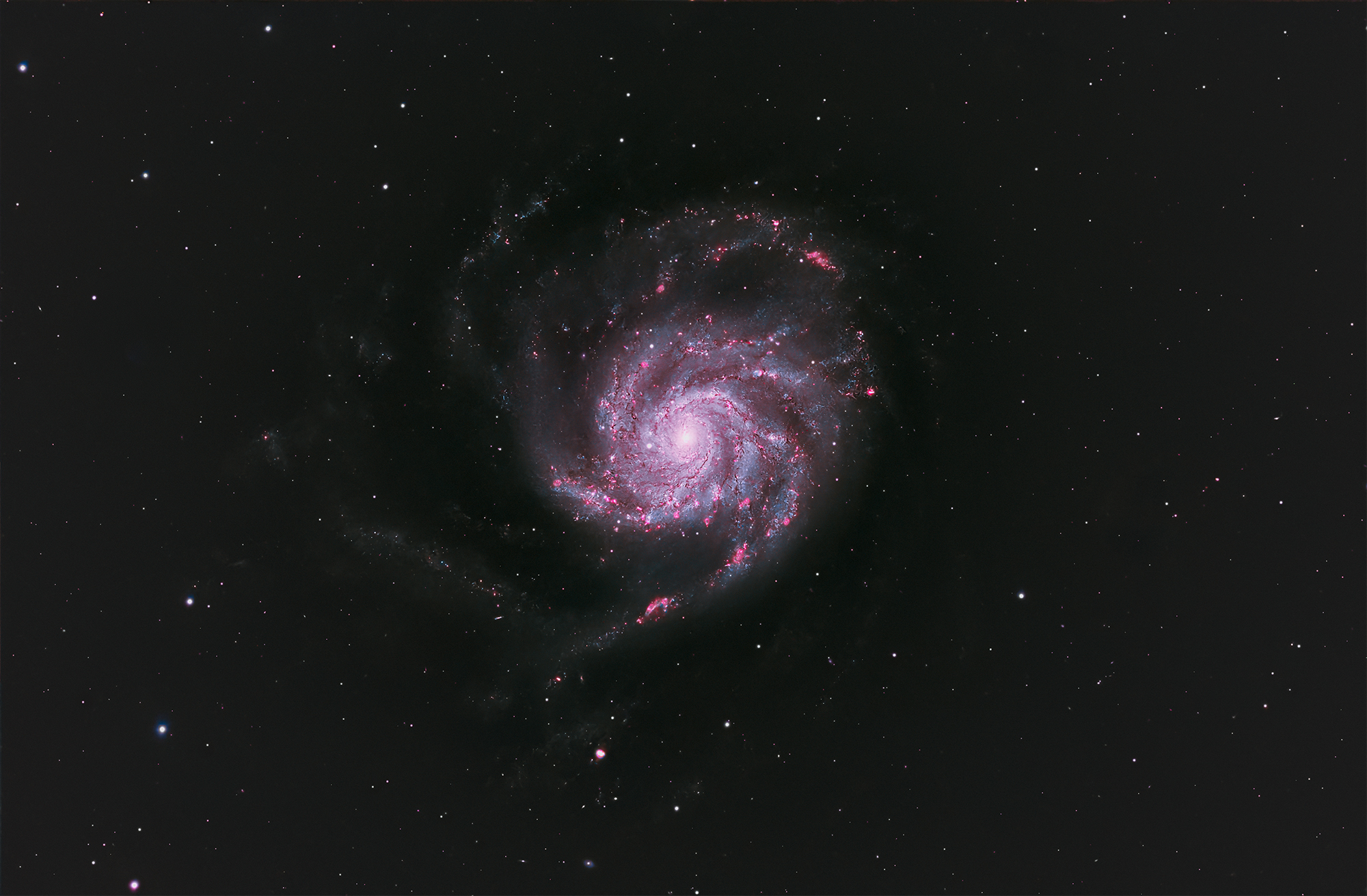 m101 현상 last (2000).jpg