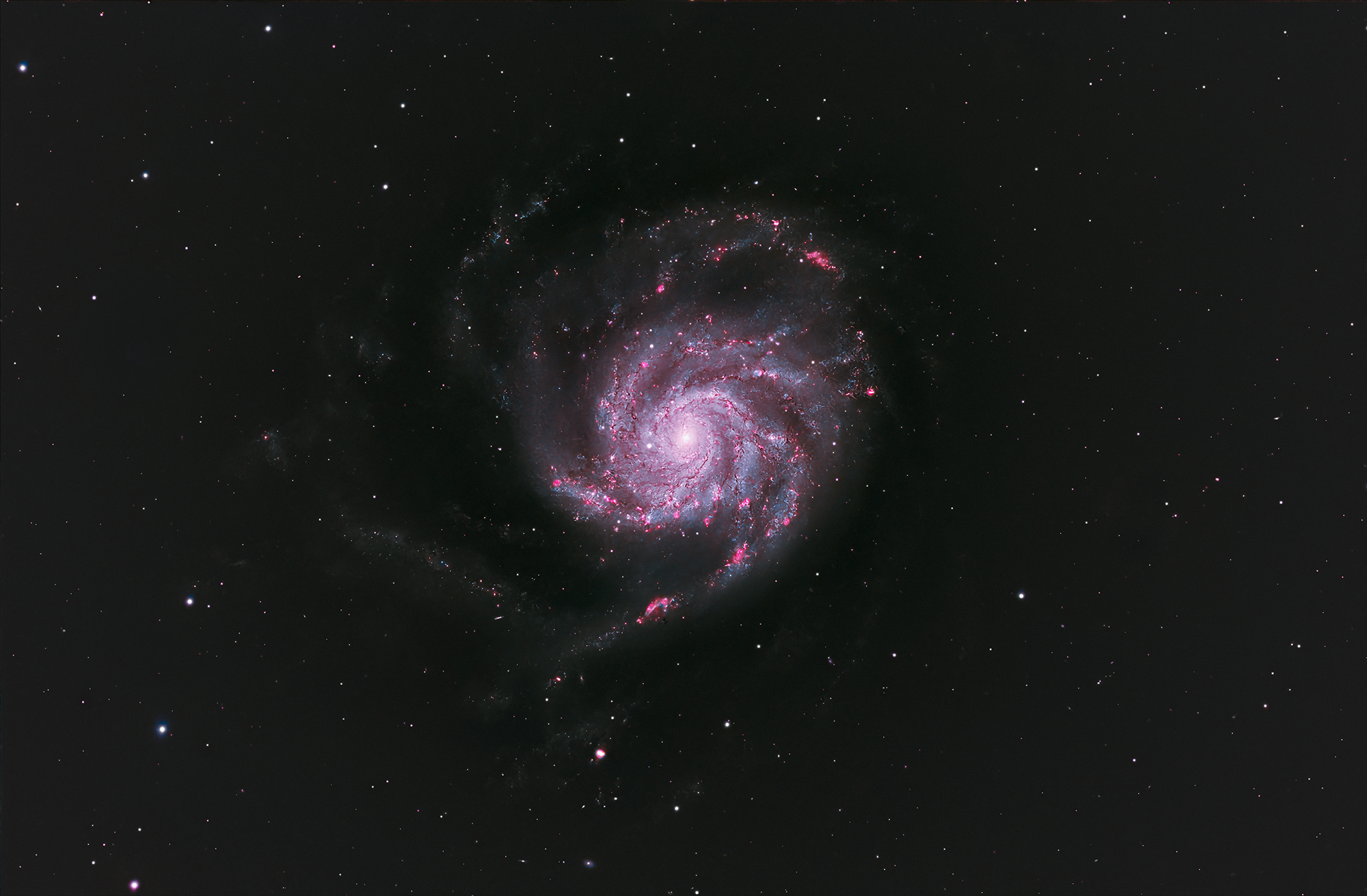 m101 현상 last (2000).jpg