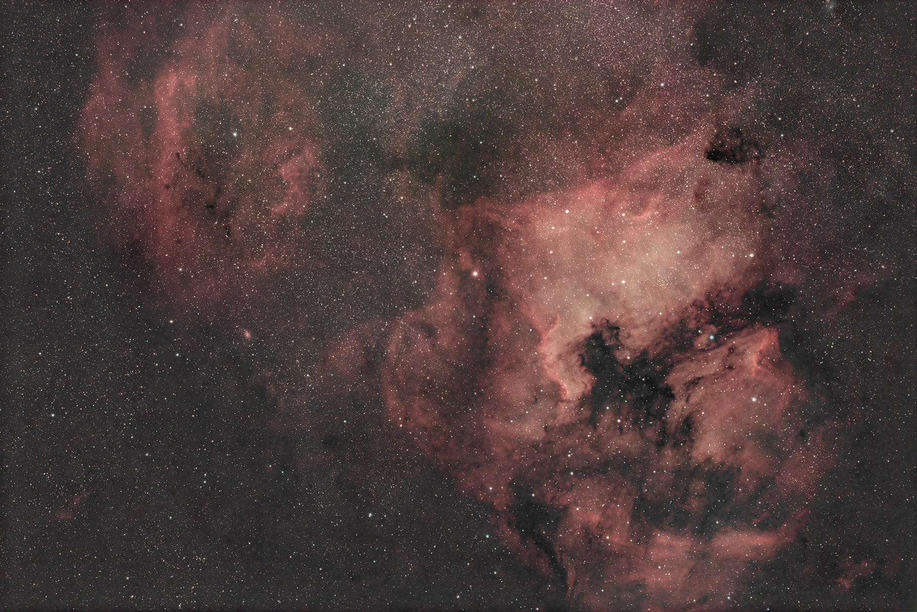ngc7000sh2_119 copy.jpg