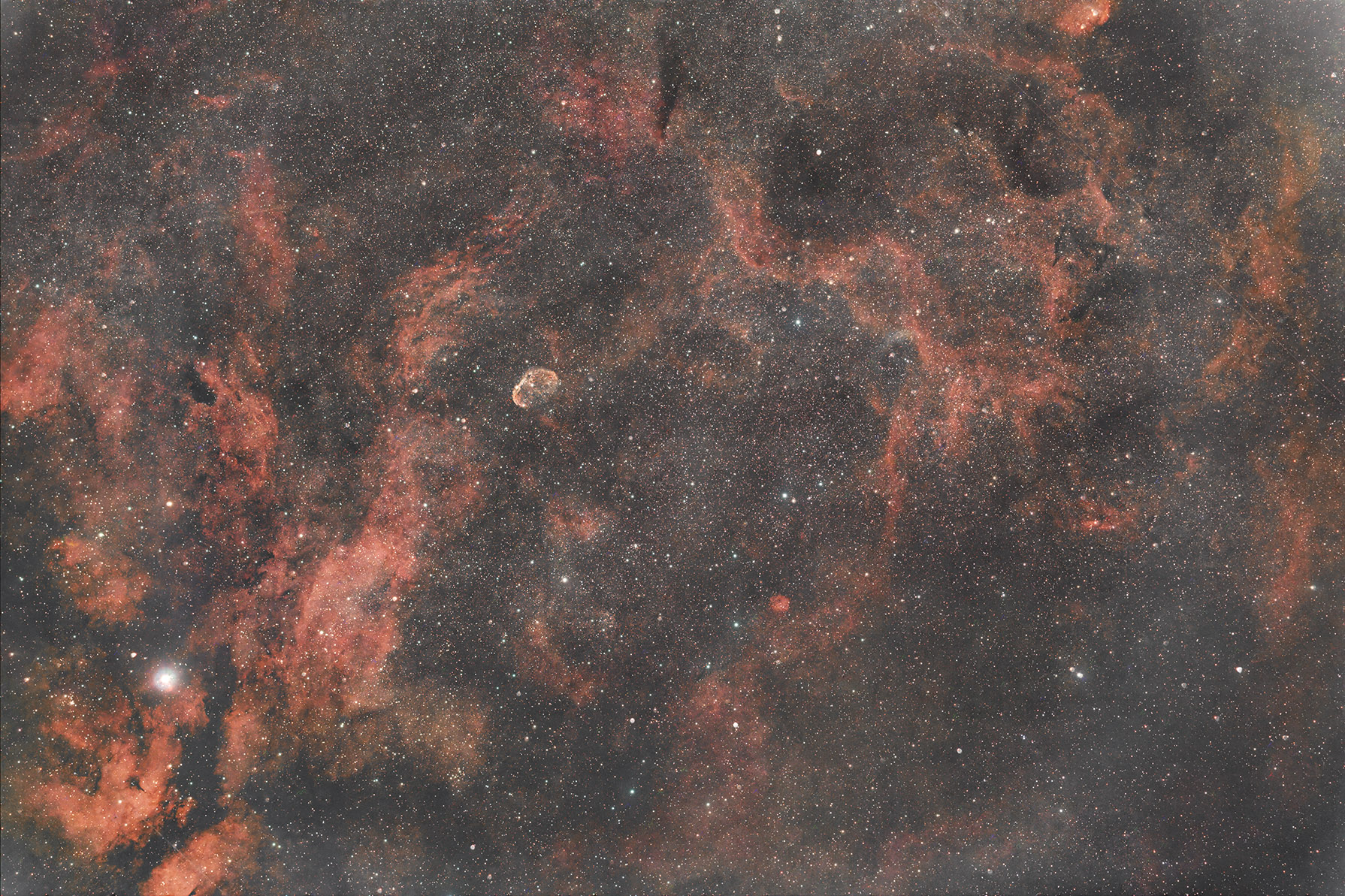 cygnus_widefield copy.jpg
