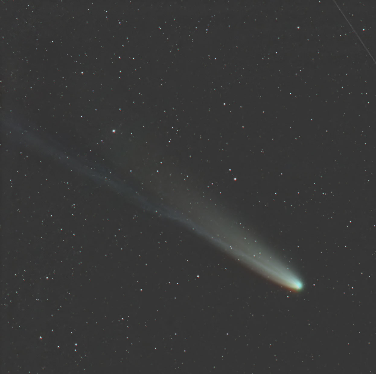 C:2025 A6(Lemmon) copy.jpg