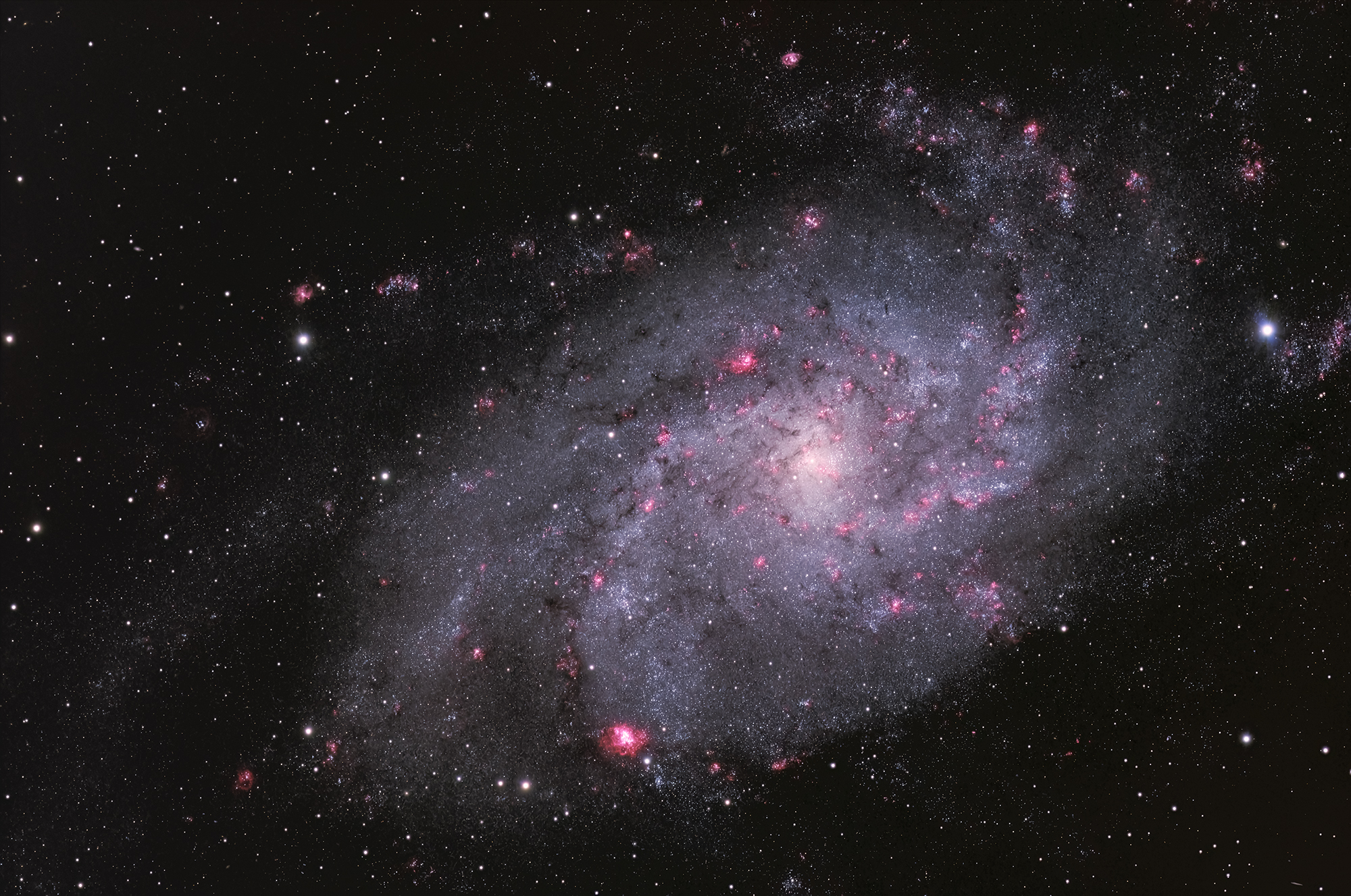 Image06 _DxO (2000).jpg