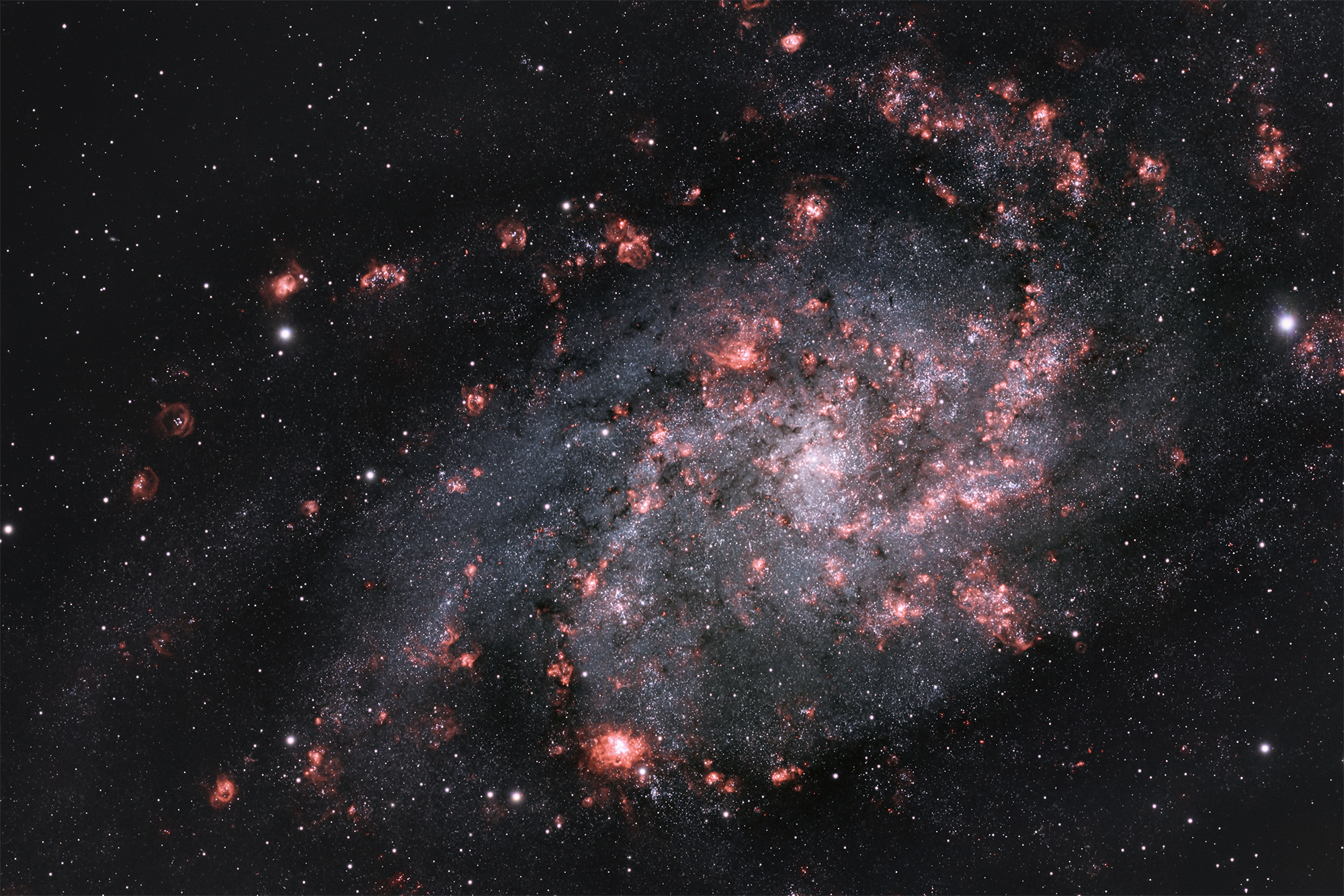 Image133 현상 last (2000).jpg