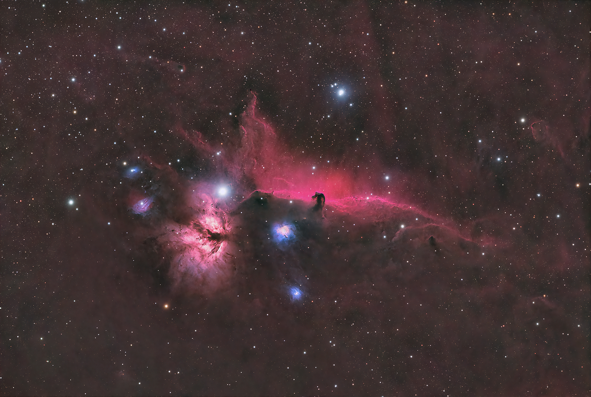 Image10__DxO (2000).jpg