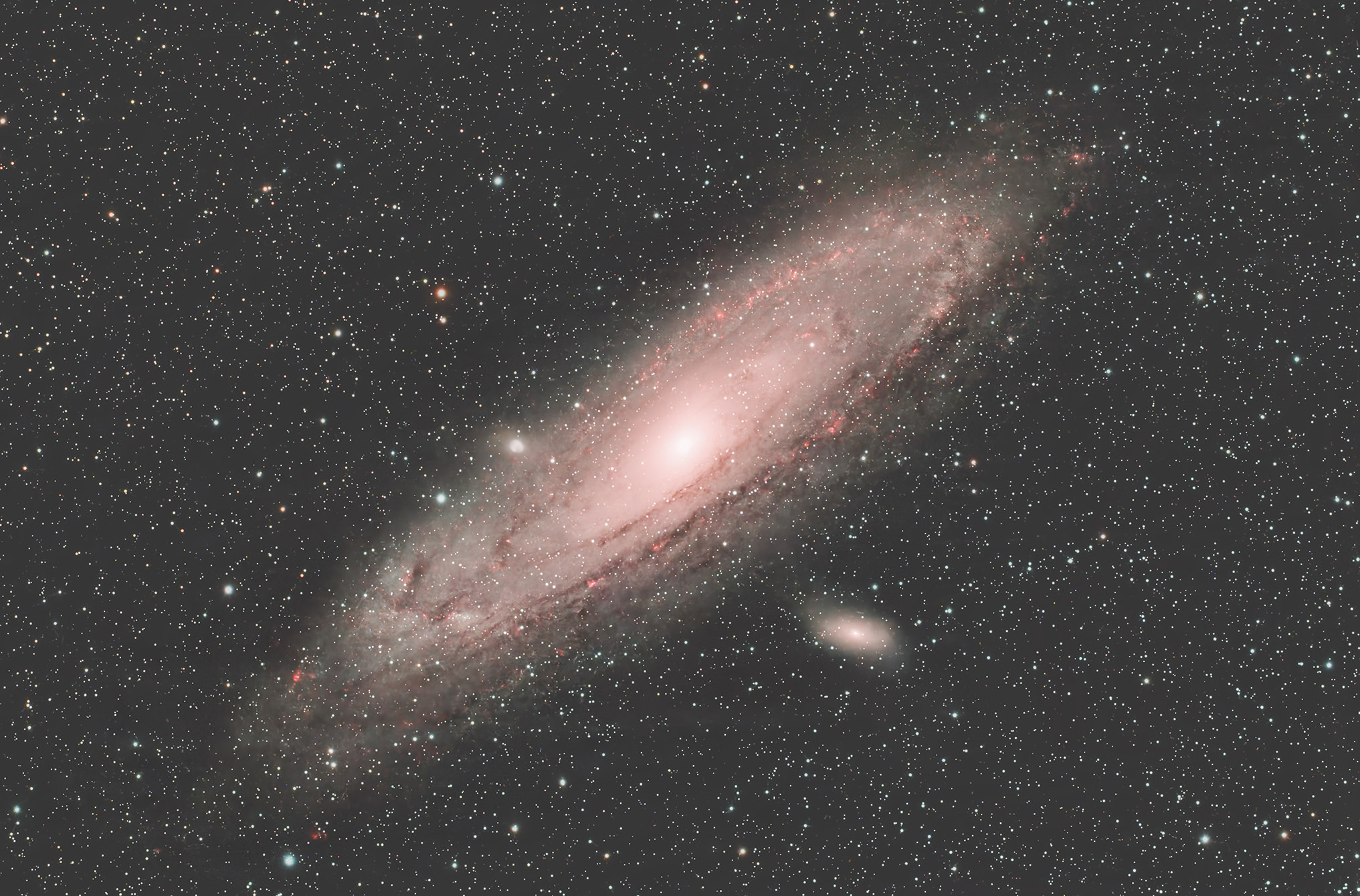 M31_sky90_2600mmpro_copy.jpg