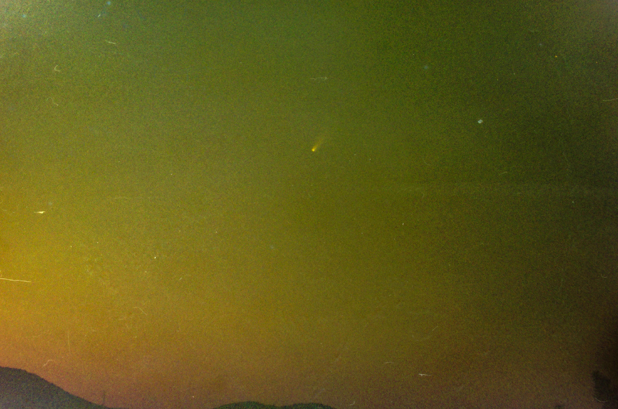 Comet1997.jpg